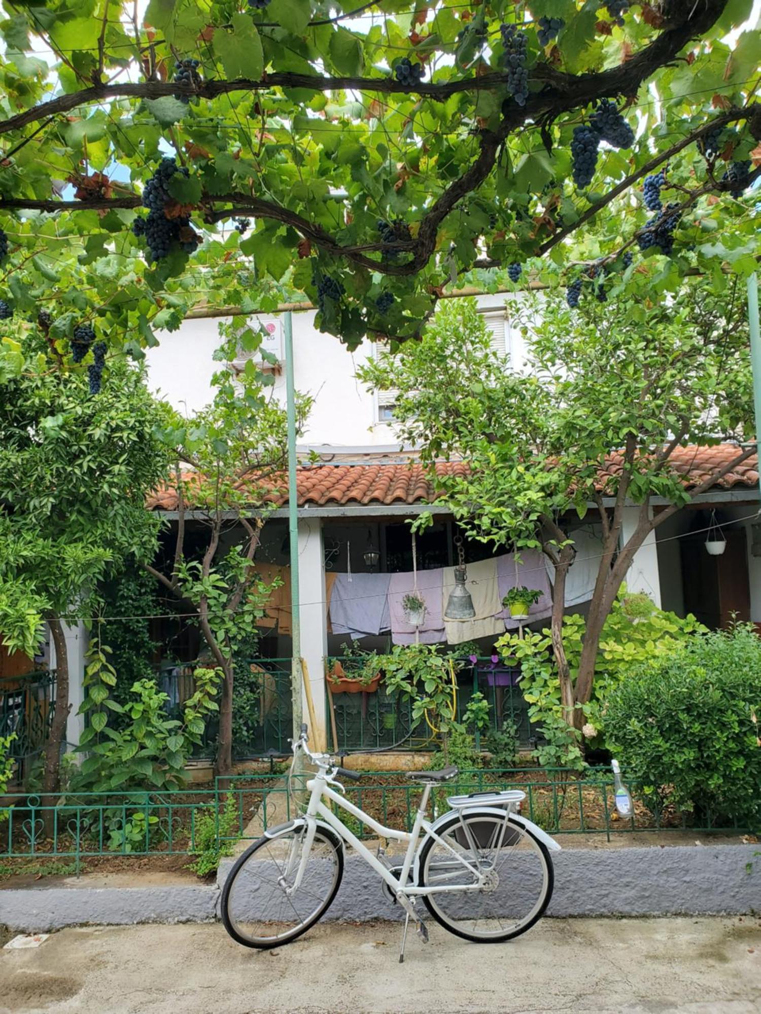 Unique Traditional House, Hosted By J&G Tiranë Eksteriør bilde